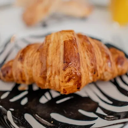 Apartment Le Coq Franciosy - Ac - Wifi- Quiet