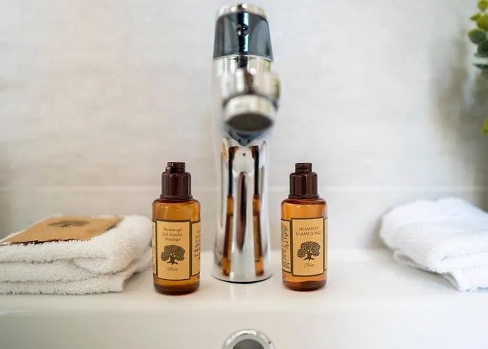 Le Coq Franciosy - Ac - Wifi- Quiet 멍똥